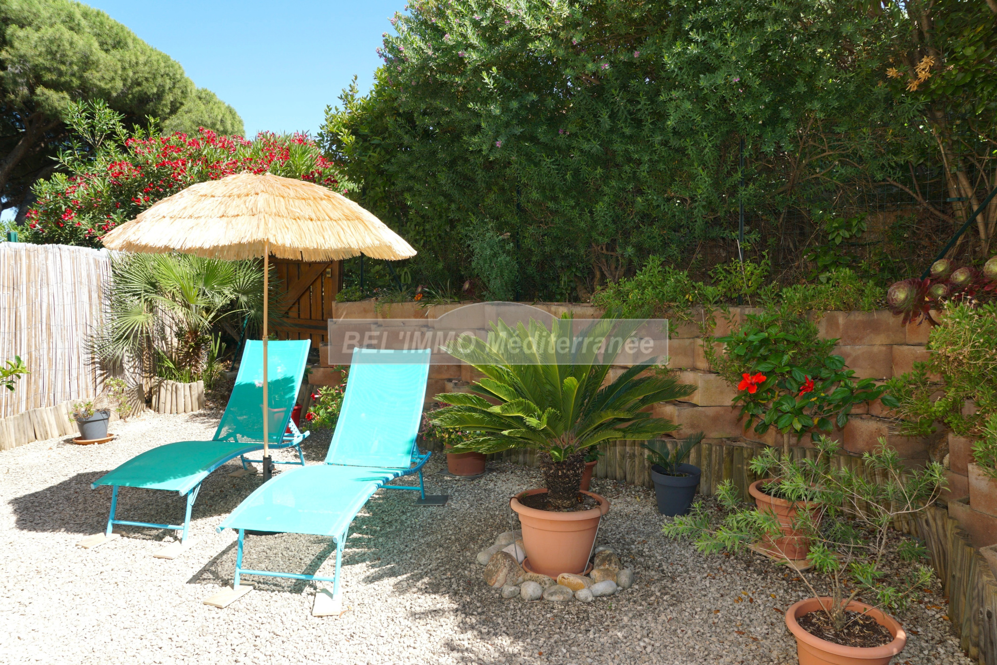 Agence immobilière de  BEL'IMMO MEDITERRANEE