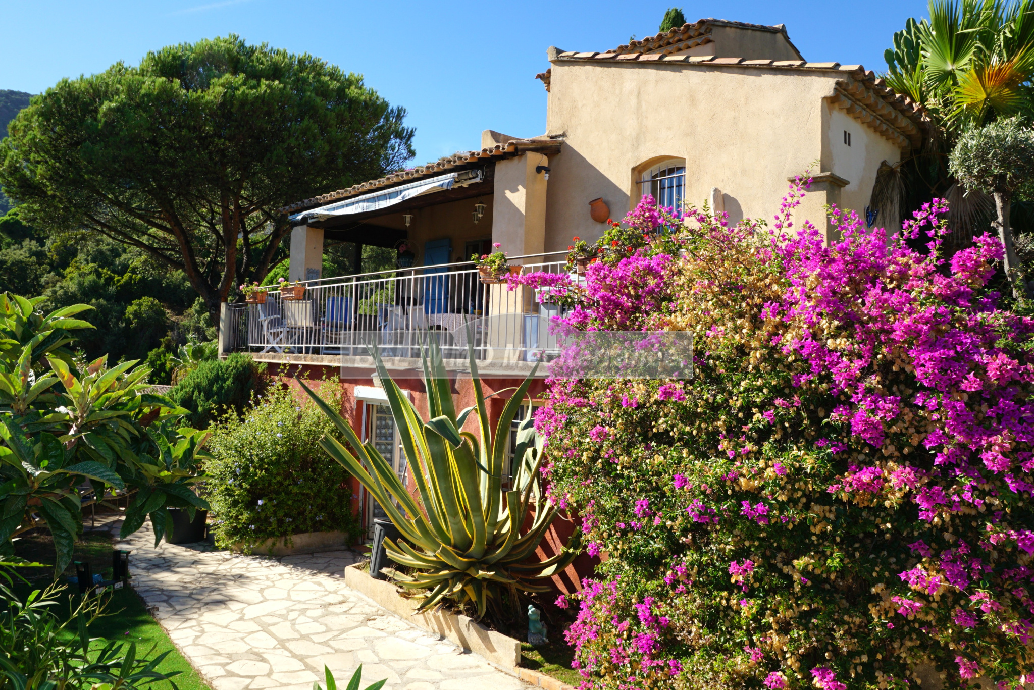 Agence immobilière de  BEL'IMMO MEDITERRANEE