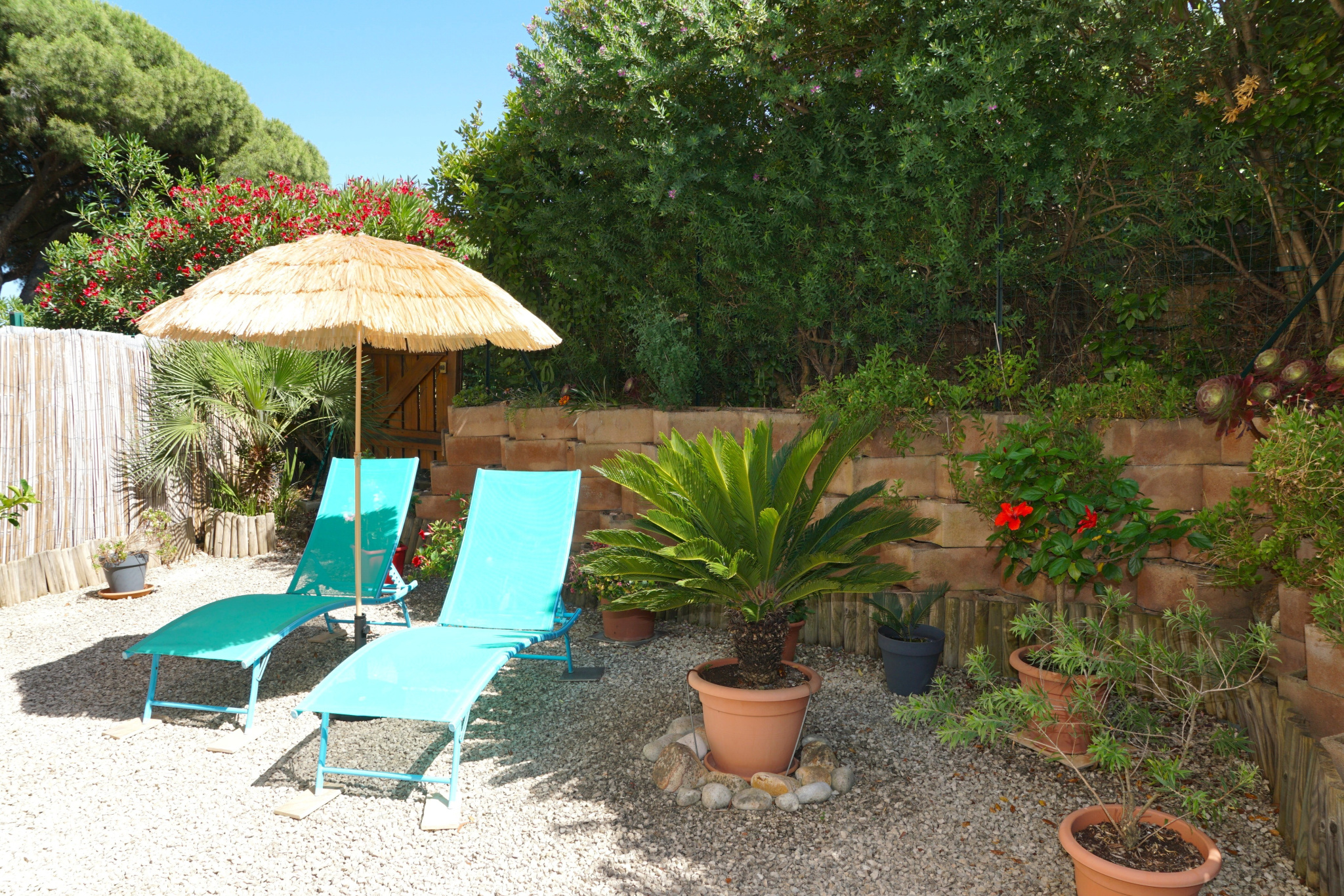 Appt F2 en rez-de-jardin et avec Parking